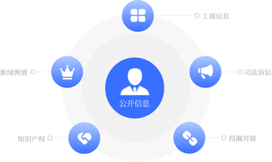 网信版估值报告示例